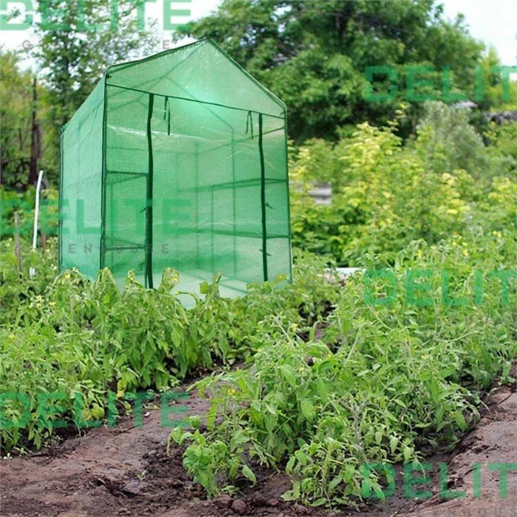Greenhouse large walk in PDT02102